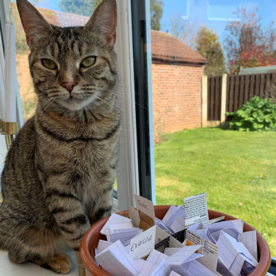 daily plan bowl 670x670