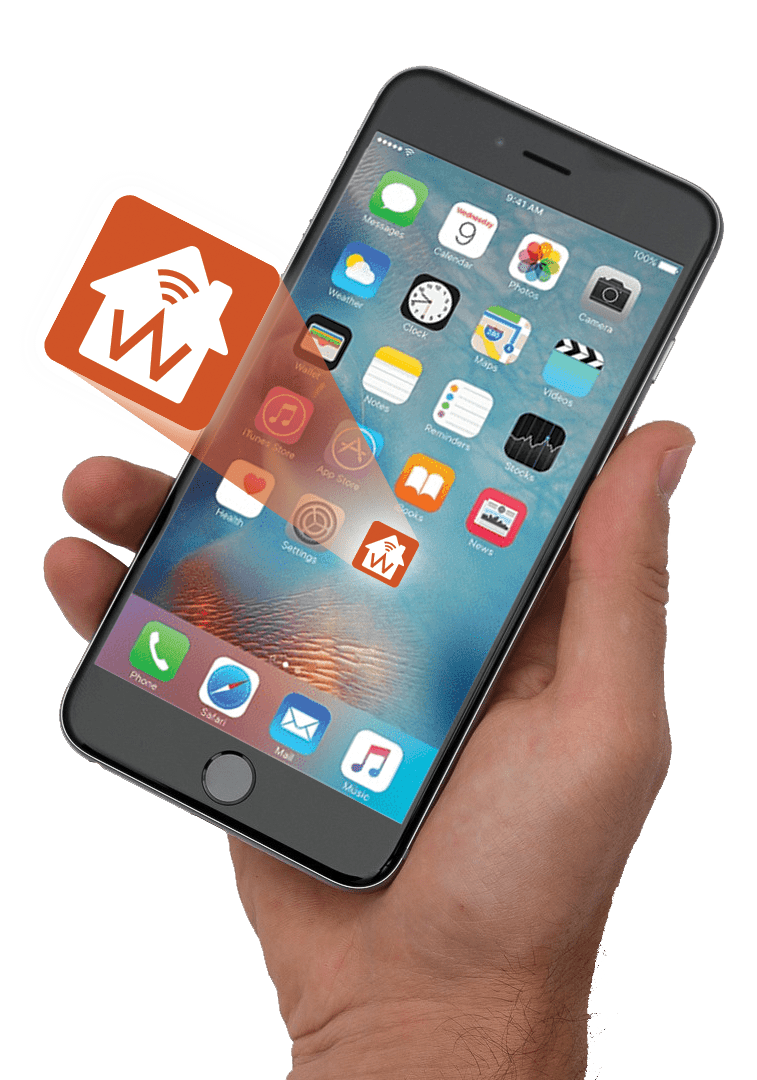 app on phone with hand